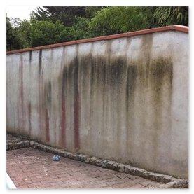 Nettoyage de muret à Cestas